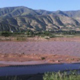 shandanhe958