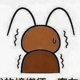 蟑螂须一直在抖