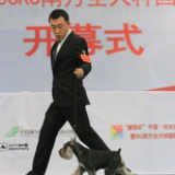 同心犬舍