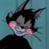 圆圆君