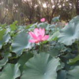 定心瑜伽
