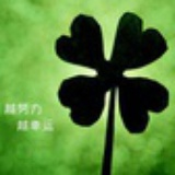 魏雨