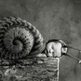 run-snail