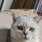 zxy