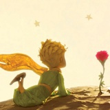 九十韶光如梦里