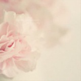 最小的海