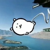 安格斯炸洋葱