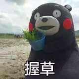 绿羽