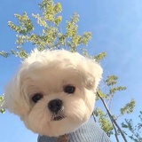鲁妮麻辣兔