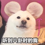未注销