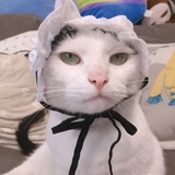 药丸