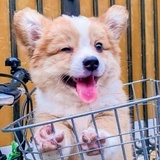 追梦的西塔