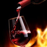 乐维葡萄酒生活