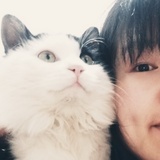 笔歌墨舞