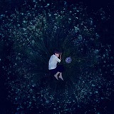 醉看人间情暖