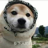 豆友80750761