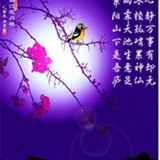 冰雨馨梦微博