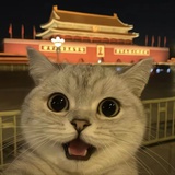吃菠萝不吃凤梨