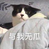 懒得起名字