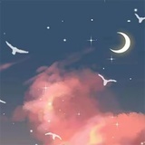 甜菜Lit