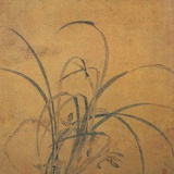 安陵