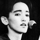 黑莴苣