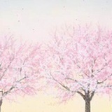 清的dream