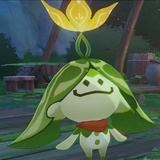 Ray