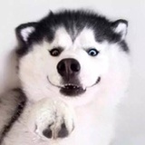 哆啦a梦