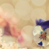伊抹阳光