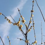 May