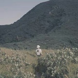 张青枝