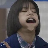 窝的帆