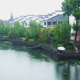 山间新月傍高树