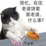 阿浪🌊