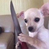 玦