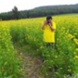 发芽的土豆