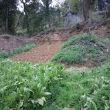 在路上