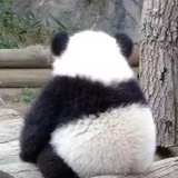 快乐小肥妞