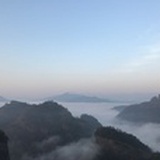 天心草木