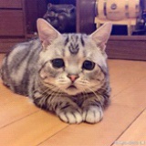 Nini