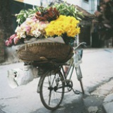 路漫漫