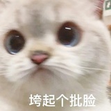 微炭酸無糖