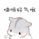 本猪