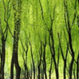宜烟宜雨