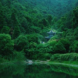 烟士披里纯