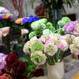 最爱花生
