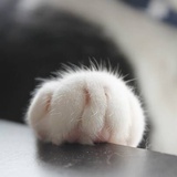 垃圾桶