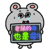 =LOVE指原康子