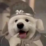啦啦啦